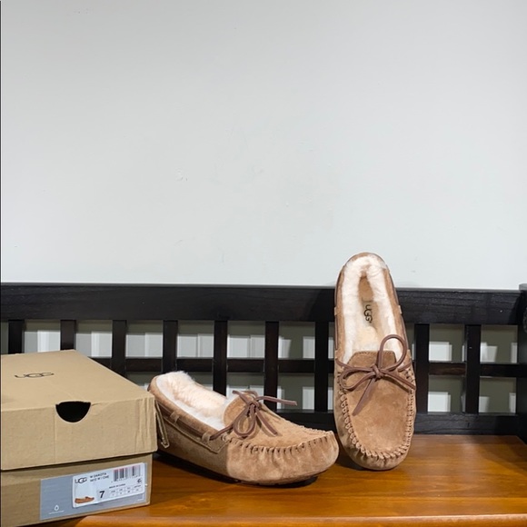 UGG Shoes - Ugg slippers. Brand new